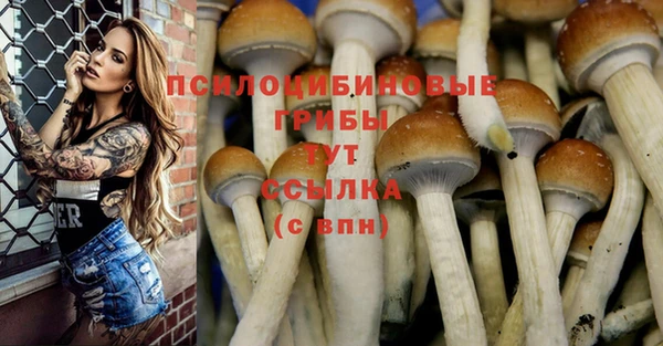 марки lsd Арсеньев