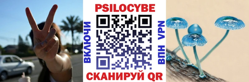 Галлюциногенные грибы GOLDEN TEACHER  сколько стоит  Уржум 